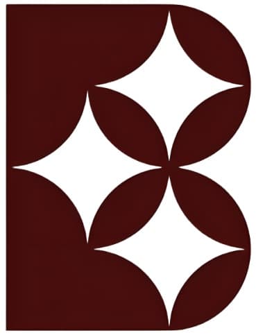 Brasilgo Jewels Private Limited logo
